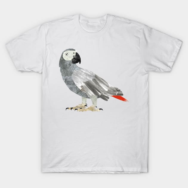 African Grey Parrot T-Shirt by Babban Gaelg